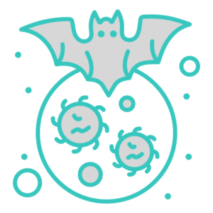 bat